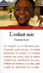 Enfant noir (L')