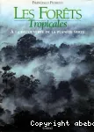 Les forêts tropicales