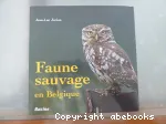 Faune sauvage en Belgique