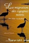 La migration des cigognes noires