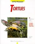 Les tortues