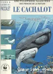 Le cachalot